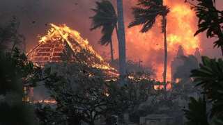 Maui wildfires: Largest banyan tree, 200-year-old church among landmarks charred