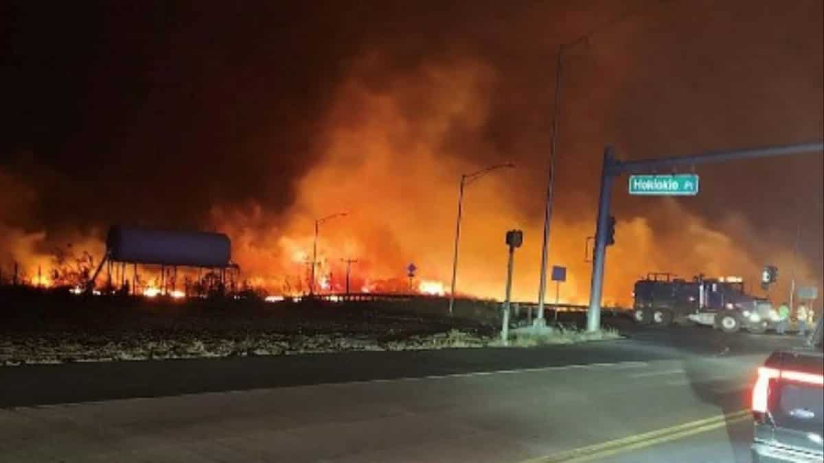 Watch: Social media awash with videos of deadly Maui island fire in Hawaii