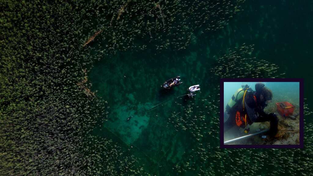 Scientists unearth Europe’s oldest lakeside stilt village behind a fortress of defensive spikes