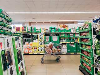 Supermarket in Austria evacuated, closed after spotting of highly venomous spider