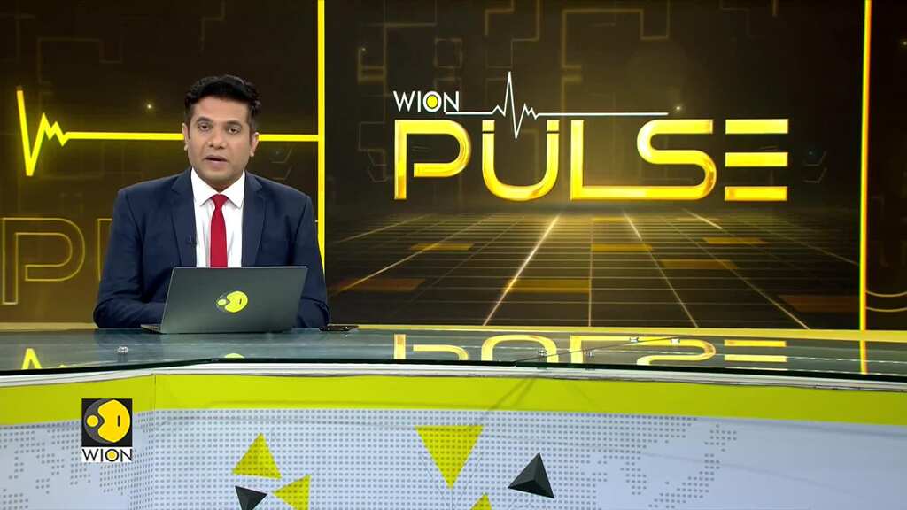 Russia's revenue boost through nuclear fuel exports | WION Pulse