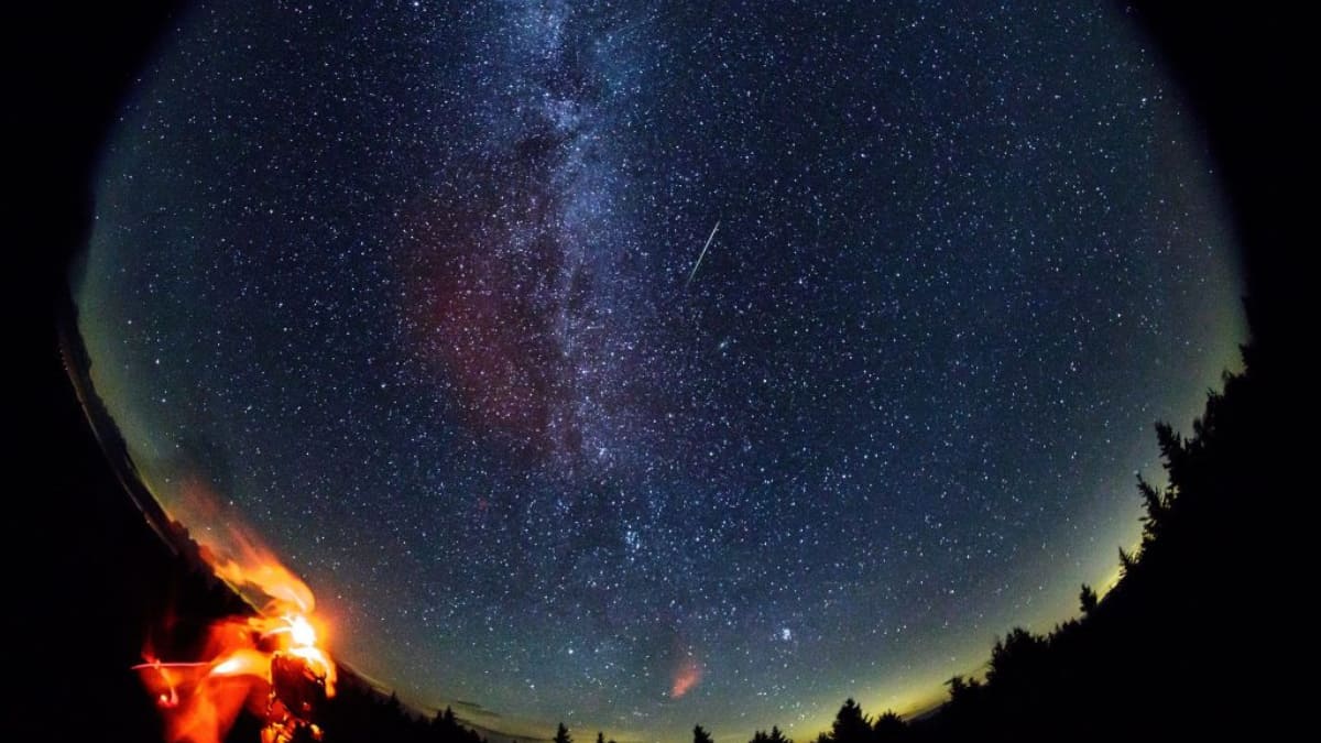Delta Aquariids meteor shower to peak this week. How, when and where to watch celestial event