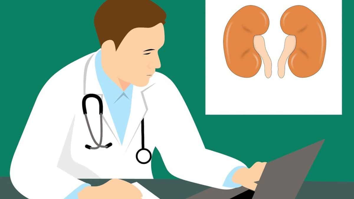 Exploring the role of genetics in kidney diseases: Unraveling the complexities of inherited disorders Exploring the role of genetics in kidney diseases: Unraveling the complexities of inherited disorders