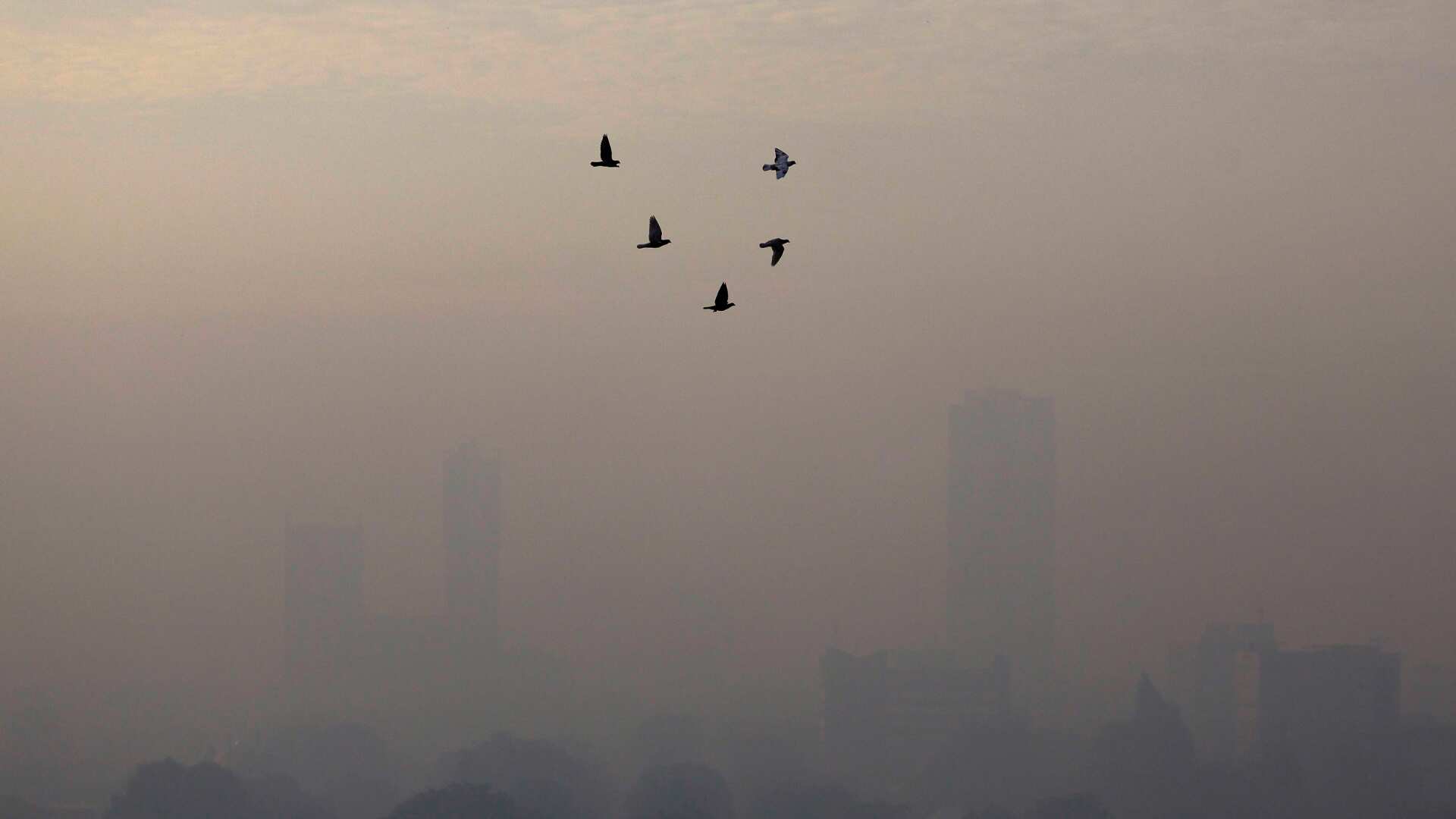 Emission tests and remote work: Indonesia capital Jakarta's new plans to tackle pollution Emission tests and remote work: Indonesia capital Jakarta's new plans to tackle pollution
