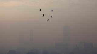 Emission tests and remote work: Indonesia capital Jakarta's new plans to tackle pollution