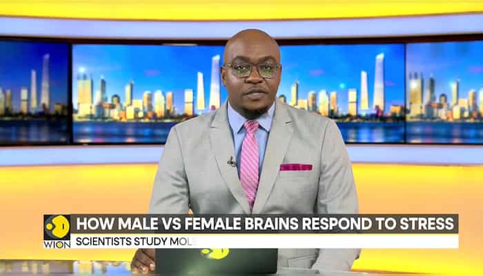 Research reveals how brain cells of males and females respond to stress