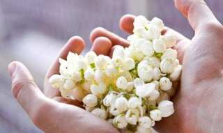 Scent of luxury: India's jasmine infuses global perfume
