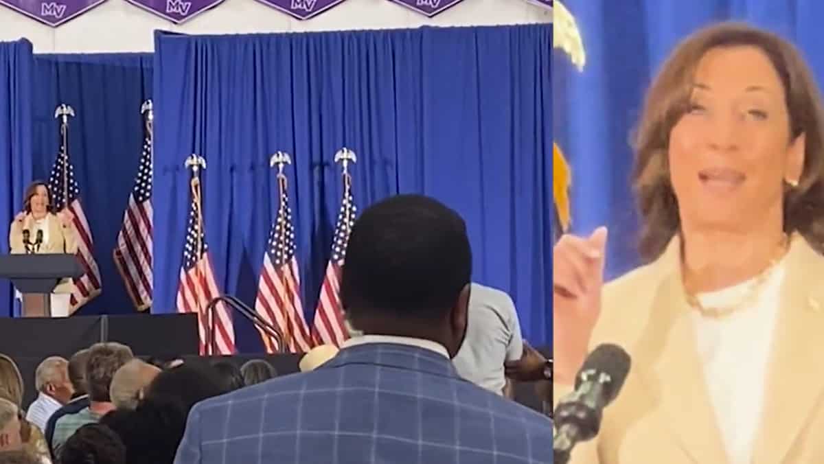 WATCH | Kamala Harris heckled, speech interrupted by climate activist ...