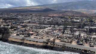 'Robbed at gunpoint in Maui': Chaotic scenes after devastating wildfires in Hawaii
