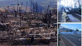 Bright flash and fire: Video suggests a tree fell on a power line, setting off the Maui blaze