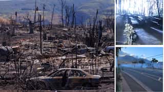 Bright flash and fire: Video suggests a tree fell on a power line, setting off the Maui blaze