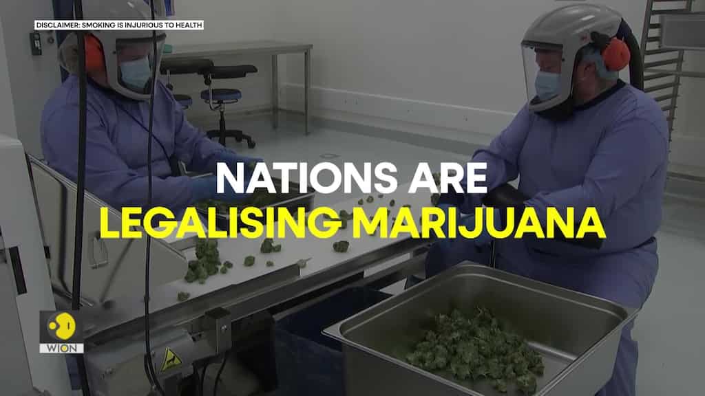 Will Germany legalise recreational Marijuana use? What will be the new rules?