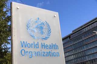 Traditional medicines are first port of call for millions of people worldwide, says WHO