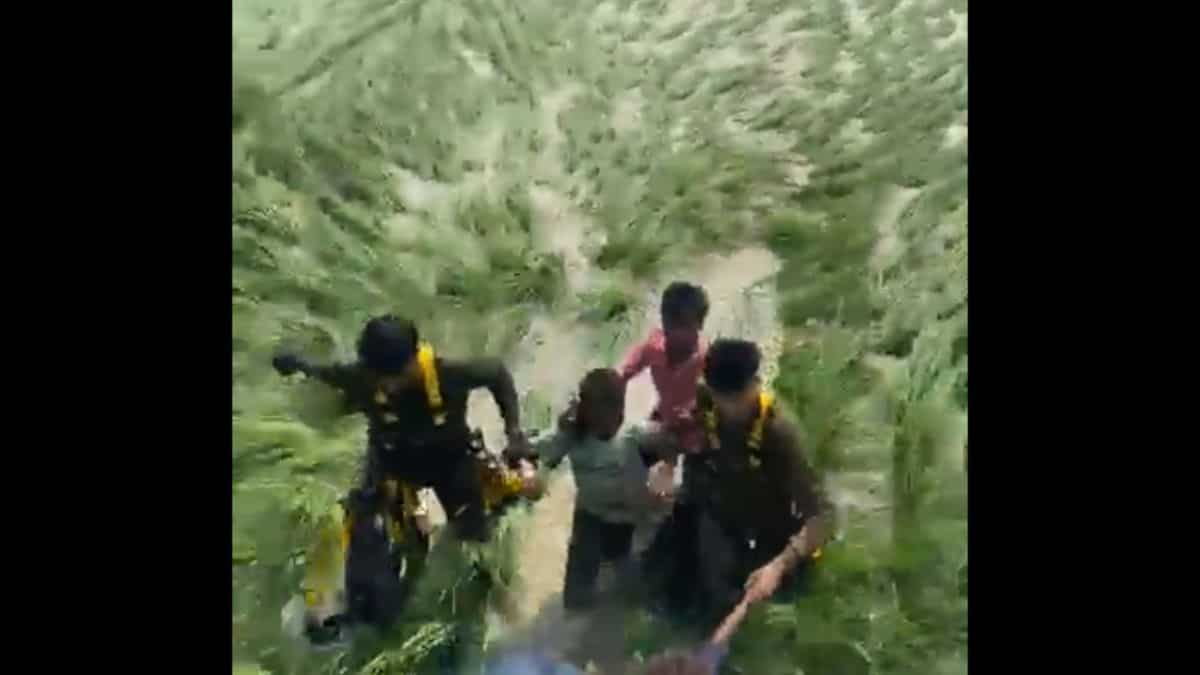 Indian Air Force rescues over 220 citizens