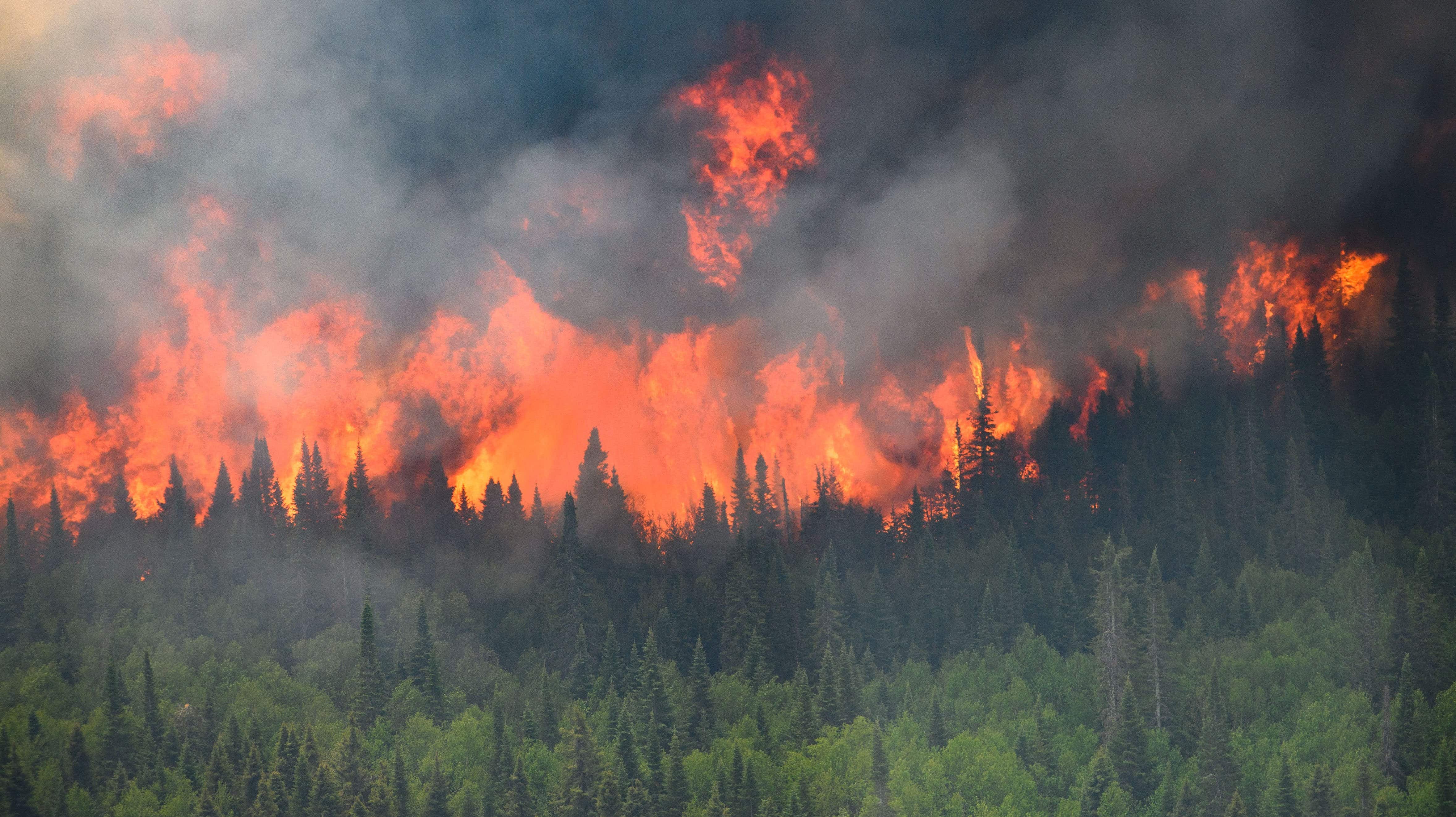 5,738 wildfires so far this year