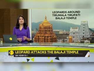 Gravitas: Leopard attacks young girl near temple, officials urge to carry sticks