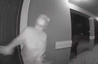 Un‘bear’able encounter: Florida woman wildly screams after unexpected guest shows up at door. Watch