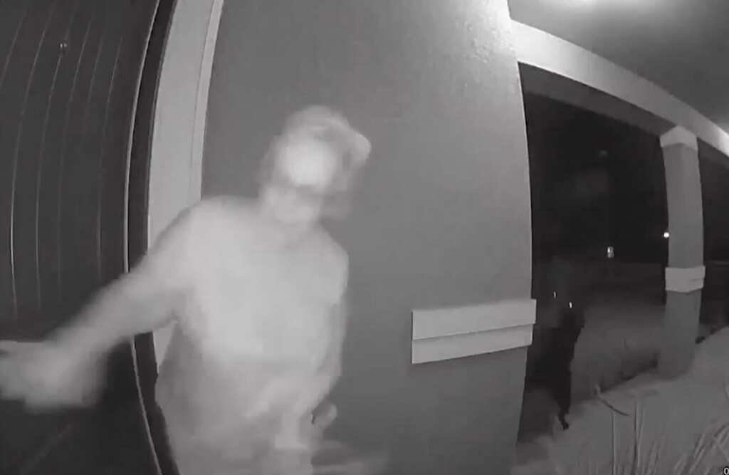 Un‘bear’able encounter: Florida woman wildly screams after unexpected guest shows up at door. Watch