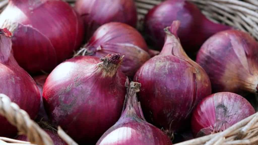 Indian govt imposes 40% export duty on onions to curb soaring local prices