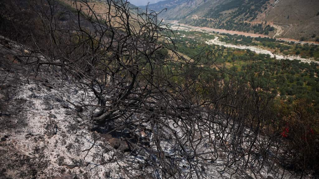 Albanian deploys army to battles wildfires, police arrests four for starting blaze