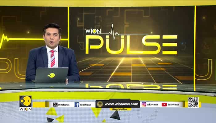 Cast of 'Made In Heaven' and Jim Sarbh's cat talk about their favourite wedding scene