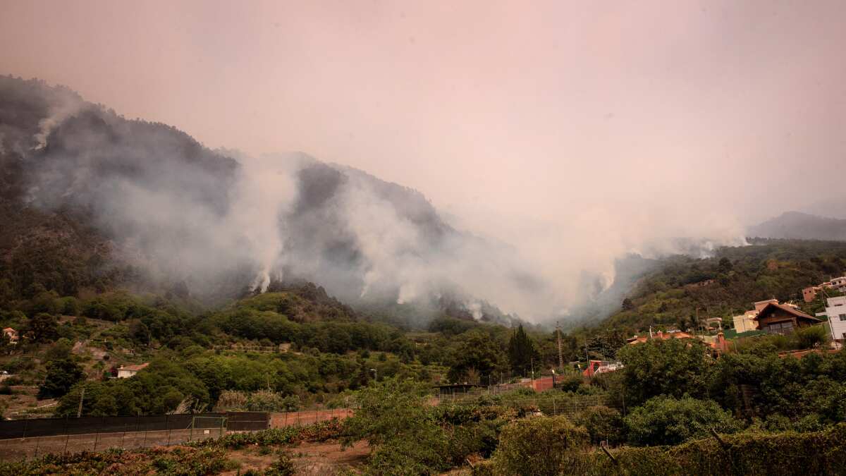 Unprecedented wildfires in Canary Islands