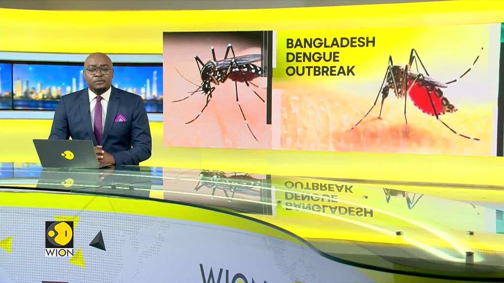 Bangladesh dengue death toll reaches 485