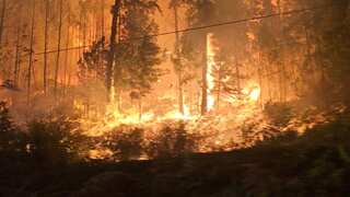 Canada to send military to tackle fast-spreading wildfires in British Columbia