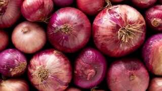 India: NCCF to sell onions at Rs 25 per kg after Centre raises onion buffer