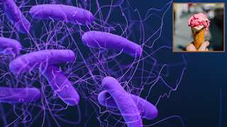 USA: Deadly Listeria outbreak, linked to contaminated ice cream machines, kills three in Washington