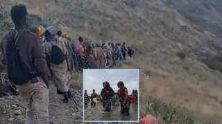 Hundreds of migrants crossing border killed by Saudi Arabia, claims report