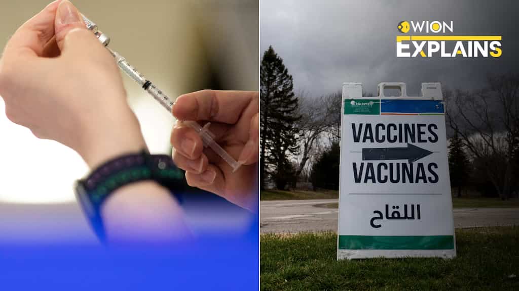Explained: Is the COVID-19 scare coming back? Here's what you should know