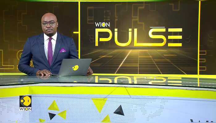 Beijing's fruit diplomacy turns sour as China bans imports of Taiwanese mangoes