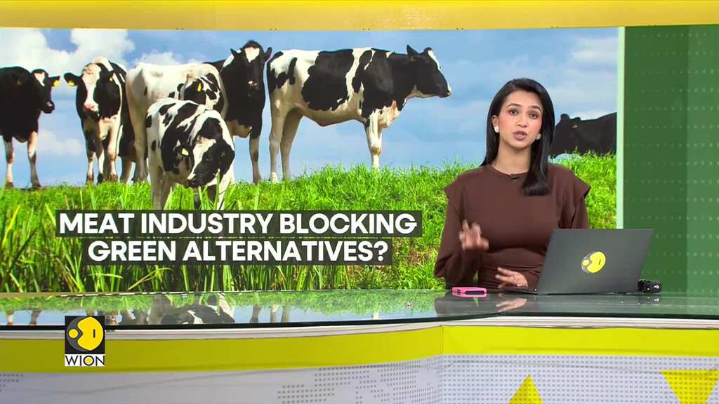 Green alternatives could help tackle climate crisis: Study