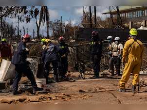 850 people still missing after Maui wildfires, says mayor