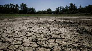 Few days of scorching heat to push billions in throes of food insecurity: Study