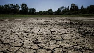 Few days of scorching heat to push billions in throes of food insecurity: Study