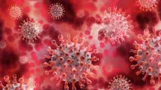 Is Covid back with summer wave as cases rise in UK and US?