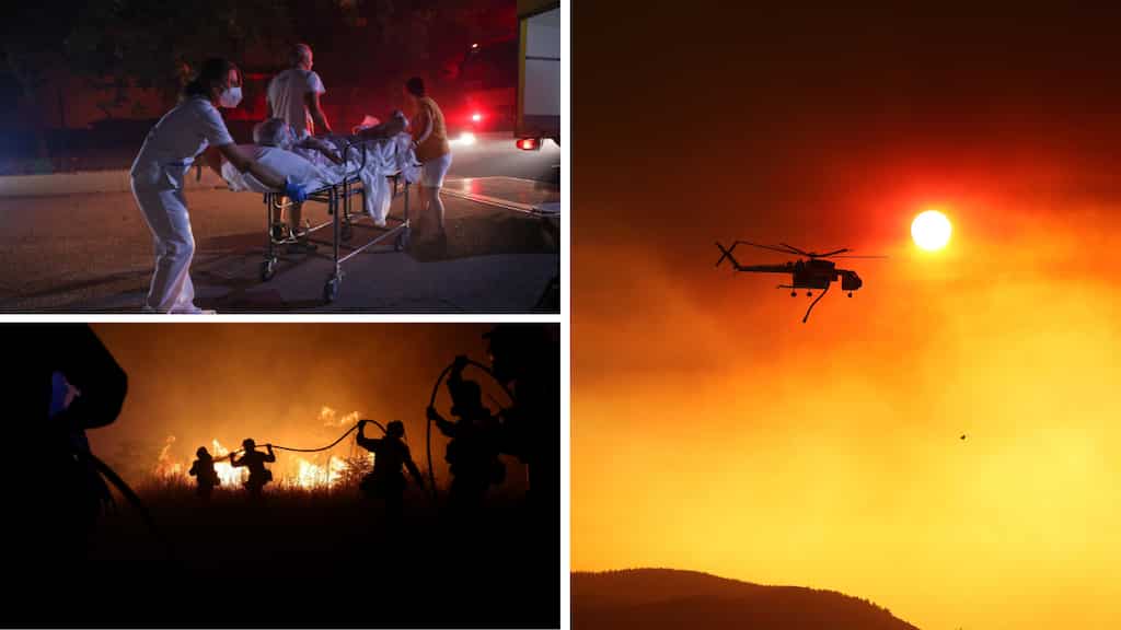 Greece: At least 18 suspected migrants killed in forest fire, dozens evacuated from hospital