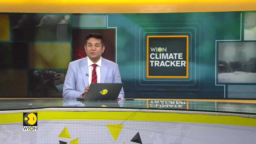 Kite festival on black sea coast follows path of migratory birds