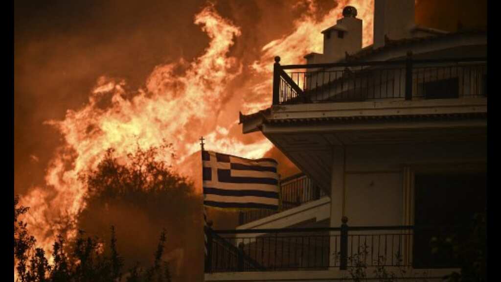 Greek wildfires are worst in Europe in years, says EU-backed climate service
