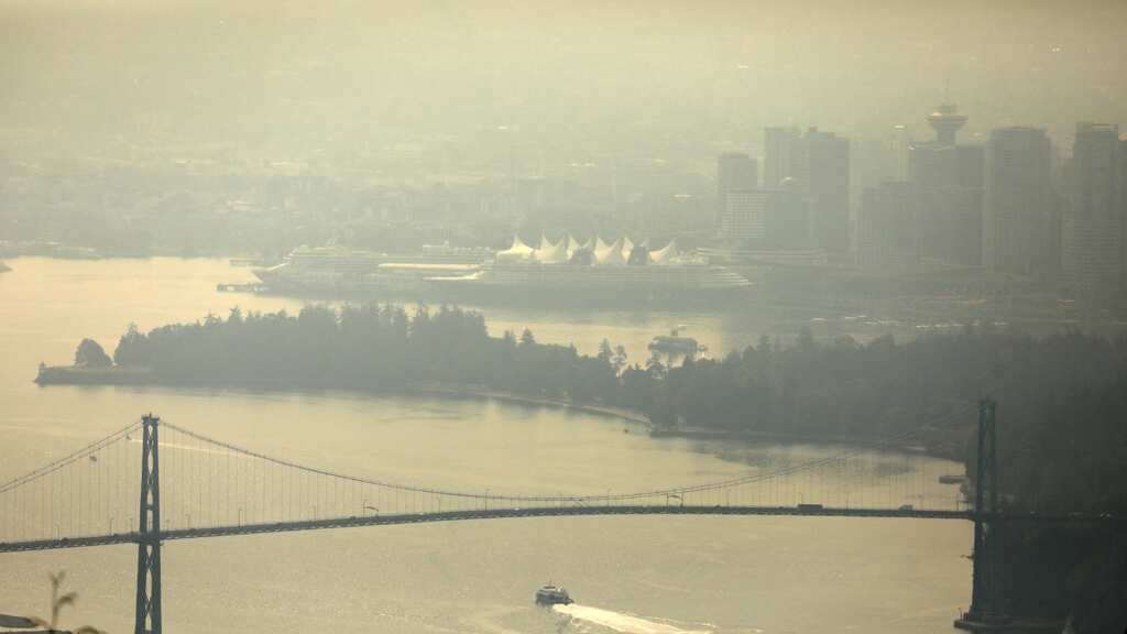 Climate change behind record-breaking wildfires in Canada, say scientists