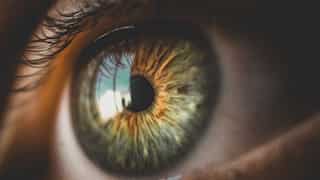 Eye scans can detect early Parkinson's signs, years ahead of symptoms: Study