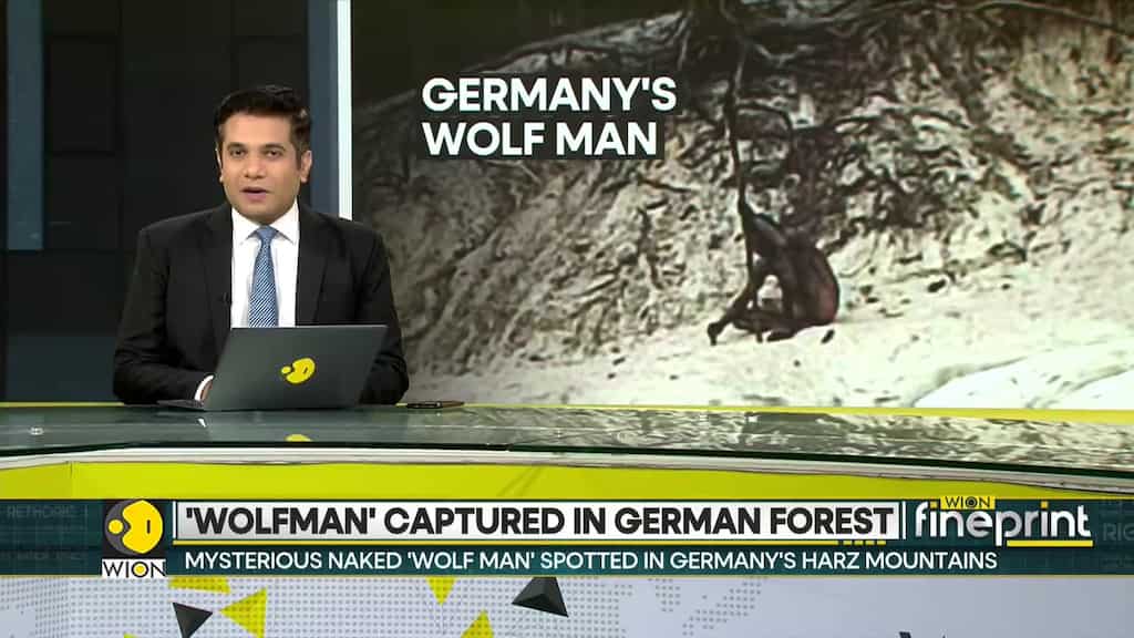 Naked and mysterious 'wolf man' seen roaming in Harz mountains of Germany