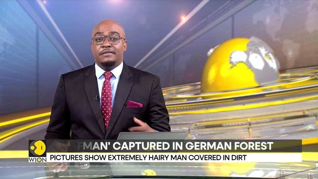 Mysterious naked 'wolfman' spotted in Germany's Harz mountains