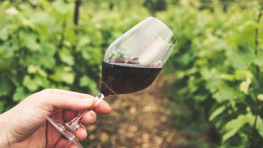 France spends $216 million to dispose off some of the world’s best wine