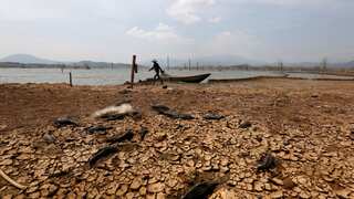 El Nino may melt Indonesia's 12,000-year-old 'Eternity Glaciers' by 2026