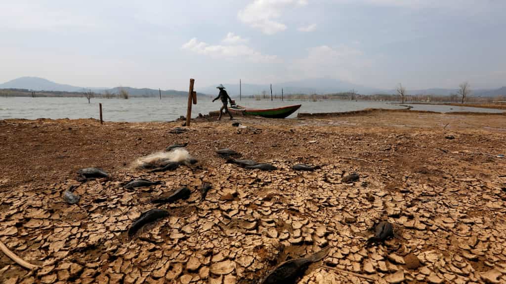 El Nino may melt Indonesia's 12,000-year-old 'Eternity Glaciers' by 2026