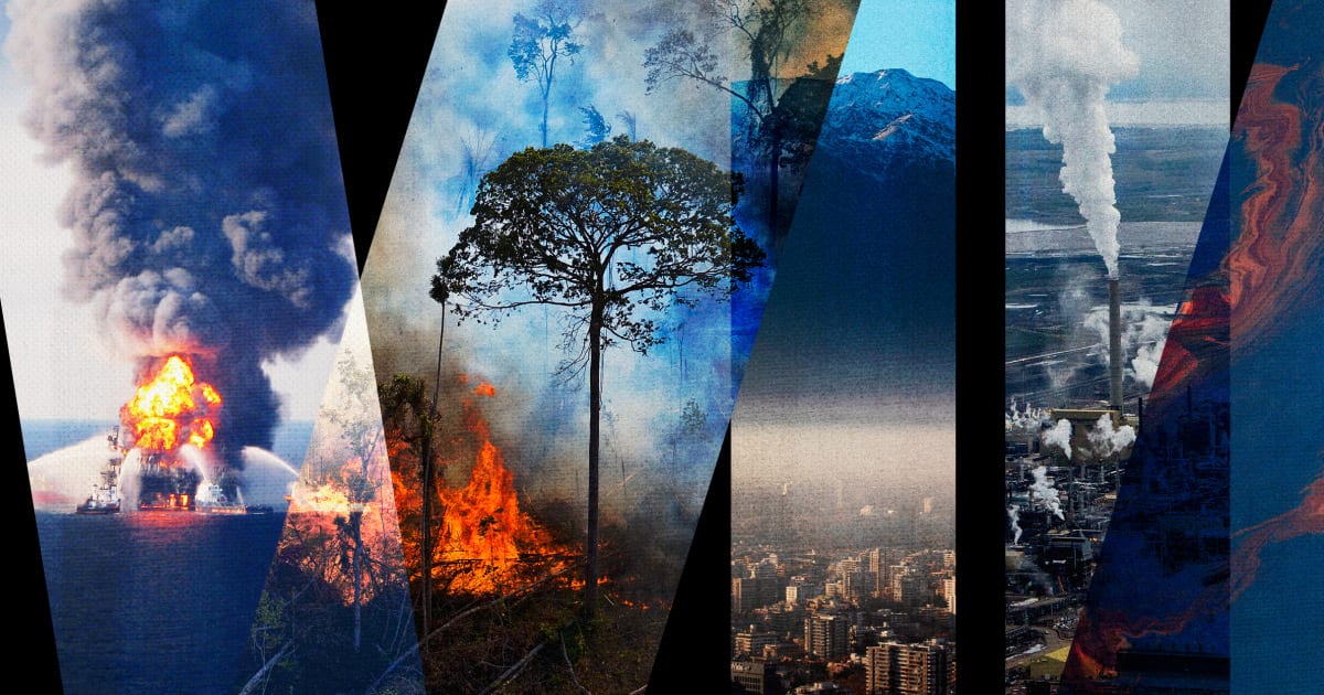 Ecocide movement: Several countries move to criminalise actions that damage environment Ecocide movement: Several countries move to criminalise actions that damage environment