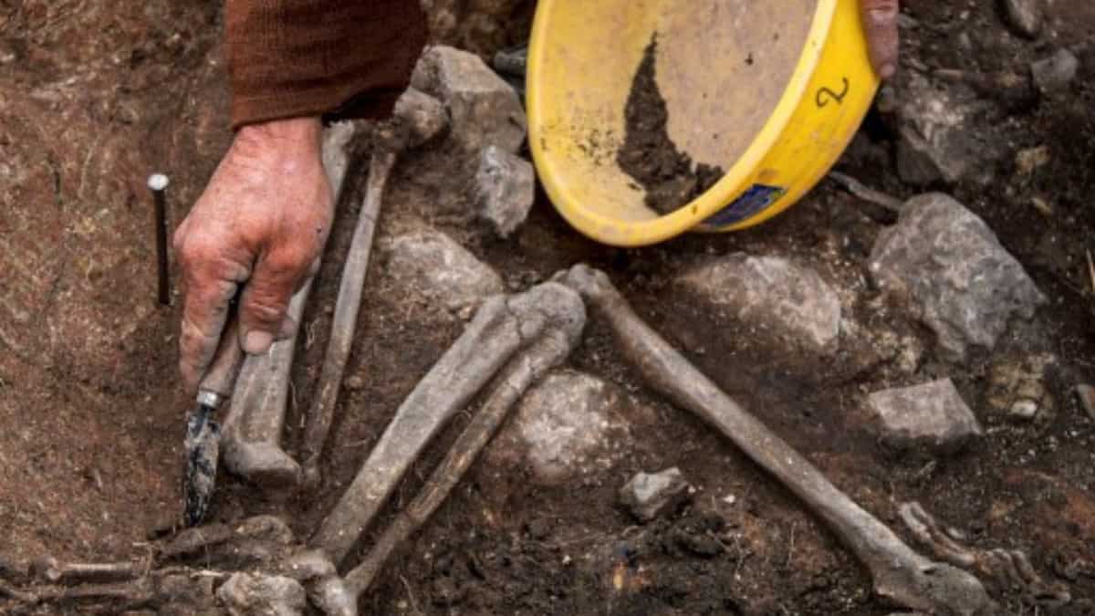 About the discovery of the tomb